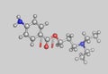 Novocaine molecular model