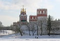 Novodevichiy Royalty Free Stock Photo