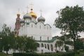 Novodevichy Convent 6