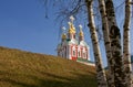 Novodevichy Monastery Church and birch