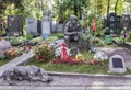 Novodevichye Cemetery. Grave actor Yuri Nikulin