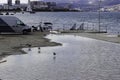 A seagull sits down in a large puddle on the dock where another seagull sits.