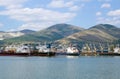View of the water area of the Novorossiysk port
