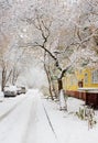 Novosibirsk. Academgorodok.