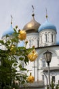 Novospassky Monastery (Moscow)
