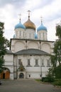 Novospassky monastery. Moscow 3