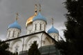 Novospassky monastery in Moscow. Ancient landmark.