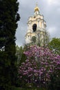 Novospassky monastery in Moscow. Ancient landmark. Royalty Free Stock Photo