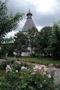 Novospassky monastery in Moscow. Ancient landmark.