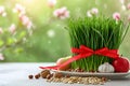 Novruz concept - wheatgrass, cultivated in white plate, apples, garlic, nuts, bokeh background
