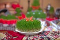 Novruz national Azerbaijan holiday spring new year celebration concept, wheat grass semeni . A seminal siege on a red ribbon on a