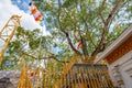 Jaya Sri Maha Bodhi the oldest living human-planted tree in the world in Anuradhapura, Sri Lanka. Royalty Free Stock Photo