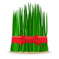 Nowruz holiday grass semeni on plate with red ribbon