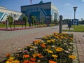 Noyabrsk, Russia - August 8, 2020: Summer/autumn blossoming orange and yellow gerbera on a city flower bed, selected focus