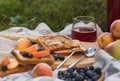 Picnic Lunch Meal Outdoors Park Food Concept, Closeup of picnic basket with drinks, food and flowers on the grass Royalty Free Stock Photo