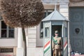 Hungarian army guards formally wathcing the Sandor Palace, the presidential castle of Hungary, during a warm afternoon