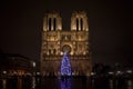 Notre Dame de Paris Cathedral at night with the traditional Christmas tree in front.