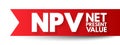 NPV Net Present Value - the cash flows at the required rate of return of your project compared to your initial investment, acronym