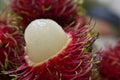 rambutan from the garden, sweet and delicious. Royalty Free Stock Photo