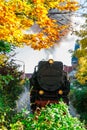 Nrrow gauge steam train in Wernigerode - Harz - Germany Royalty Free Stock Photo