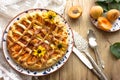 Rustic plum tart pie galette with powdered sugar Royalty Free Stock Photo