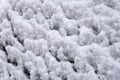 Snow falling in the cold winter in northern China