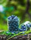 Summer berries blueberries water droplets in jar on grass
