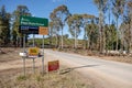 Bogo State Forest and Sugar Pines Wallk closed due to severe fire damage after summer bushfires