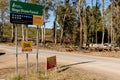 Bogo State Forest and Sugar Pines Wallk closed due to severe fire damage after summer bushfires Royalty Free Stock Photo