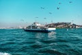 Nternal transportation ship and ferry in istanbul bosphorus early in the morning