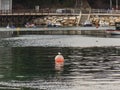 Two seagulls in the port of Mugardos