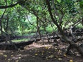 Nualolo Kai, Ancient Hawaiian Fishing Village at NaPali Coast on Kauai Island in Hawaii.