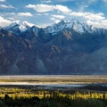 Nubra valley - Indian himalayas - Ladakh - India