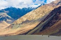 Nubra Valley and its contrasts, Ladakh, Himalayas, India Royalty Free Stock Photo