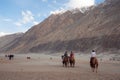 Unidentified group of tourists come to visit sand dune of Nubra for Riding Camels