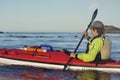 Kayaker in red kayak paddles beside group of sea otters