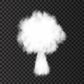 Nuclear explosion isolated on transparent background