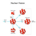 Nuclear fission. process in which the nucleus of atom splits into smaller parts