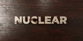 Nuclear - grungy wooden headline on Maple - 3D rendered royalty free stock image