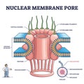 Nuclear membrane pore closeup and isolated detailed structure outline diagram
