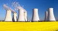 Nuclear power plant, cooling tower, field of rapeseed