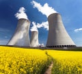 Nuclear power plant Dukovany with golden flowering field