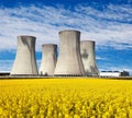 Nuclear power plant with field of rapeseed