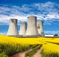 Nuclear power plant, field of rapeseed and rural road