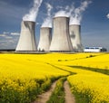 Nuclear power plant, field of rapeseed and rural road