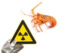 a nuclear radiation warning sign and a lobster concept of unsafe seafood Royalty Free Stock Photo