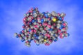 Nuclear receptor for vitamin D complexed to vitamin D. Space-filling molecular model on blue background. Rendering based