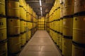 nuclear waste storage facility, with barrels of radioactive material and security measures Royalty Free Stock Photo