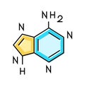 nucleic acid bases biochemistry color icon vector illustration