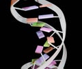 Nucleic acids are biopolymers, macromolecules, essential to all known forms of life. DNA strand